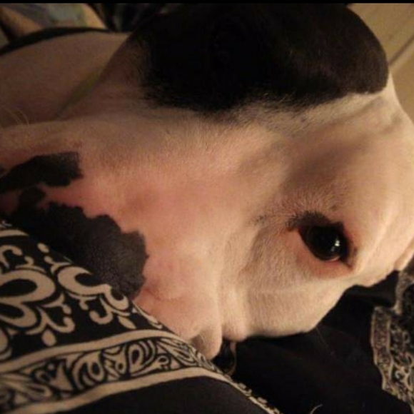 Meet your Posher, Amanda - Picture 2 of 2